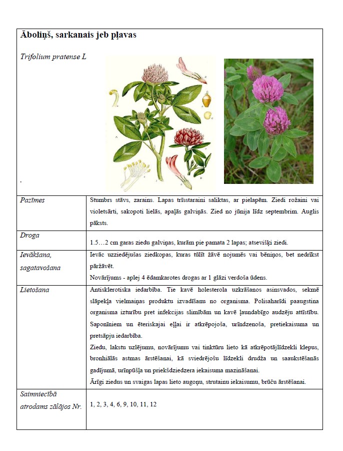 Tējas (ārstniecības) augu katalogs